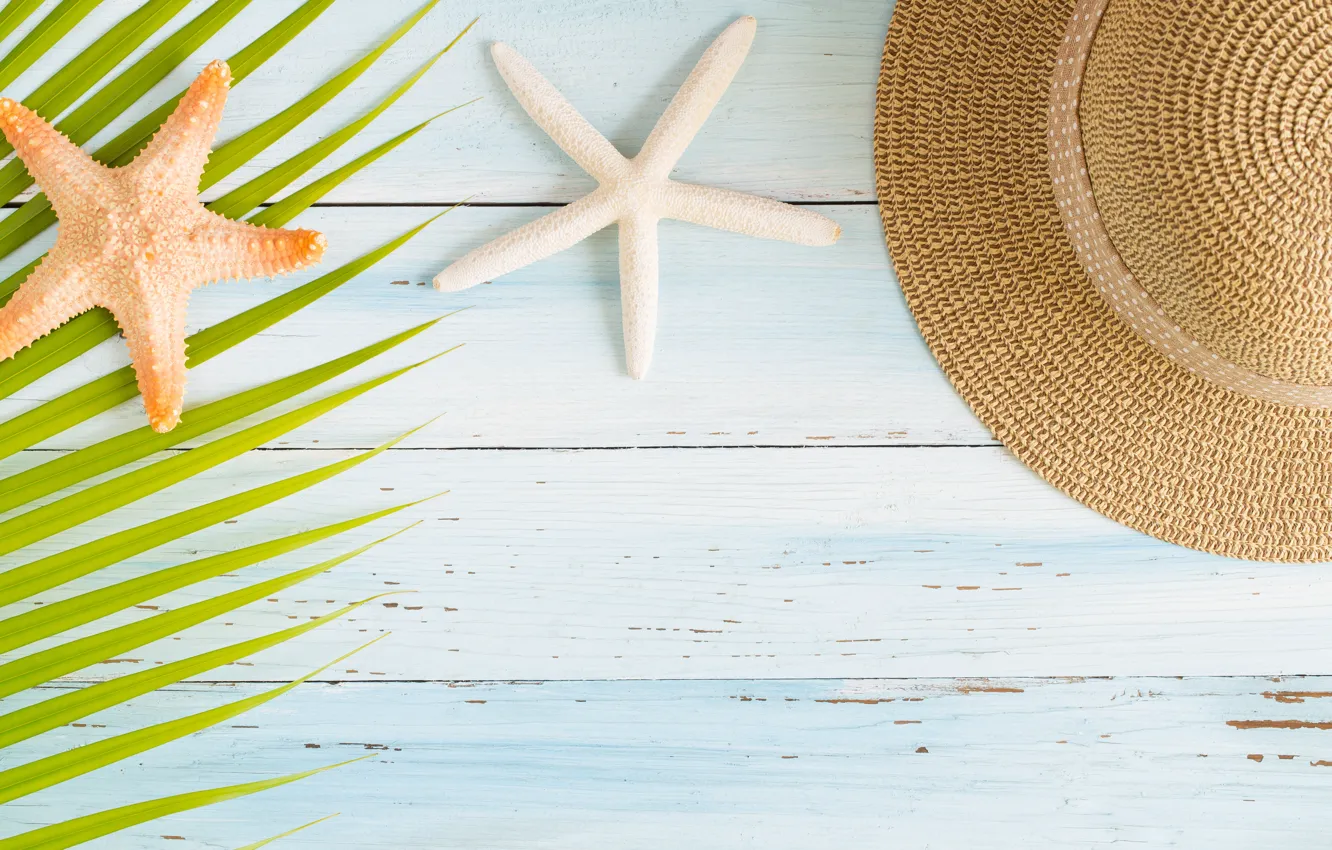 Фото обои море, пальма, отпуск, шляпа, морская звезда, sea