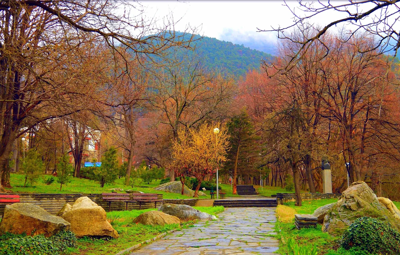 Фото обои Весна, Деревья, Парк, Nature, Park, Spring, Trees