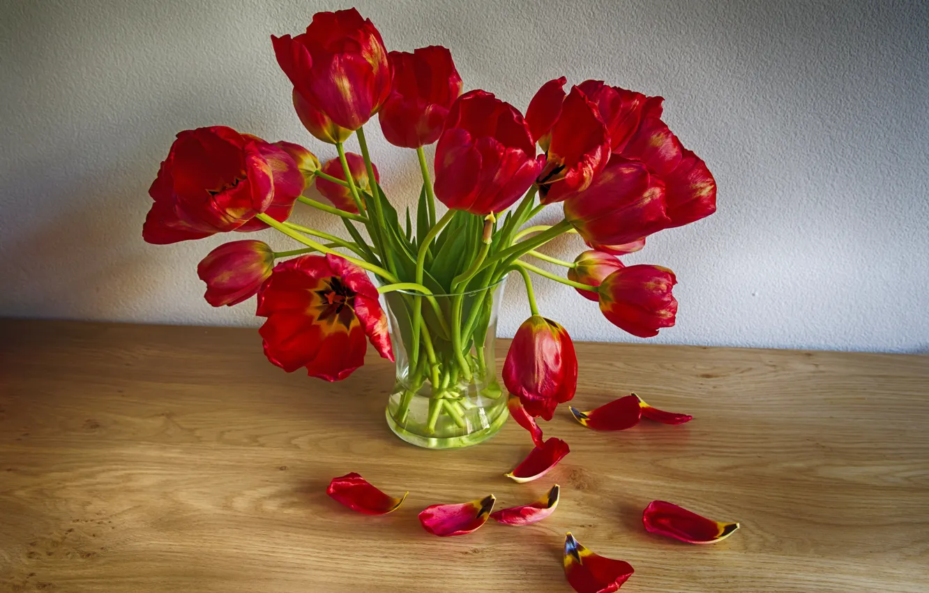 Фото обои букет, лепестки, тюльпаны, ваза