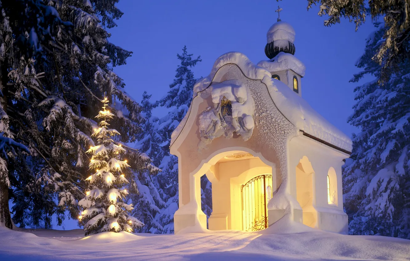 Фото обои зима, снег, елка, рождество, часовня