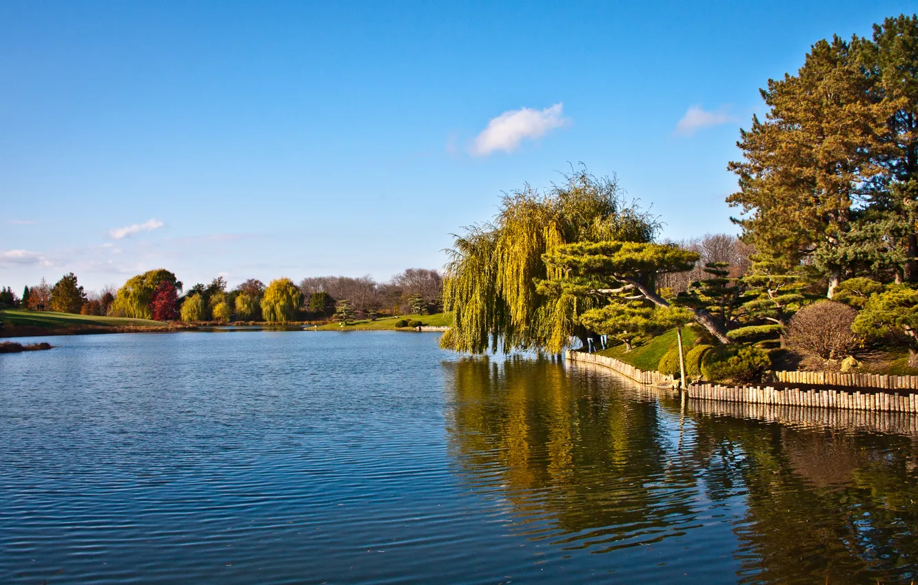 Фото обои небо, вода, деревья, ива