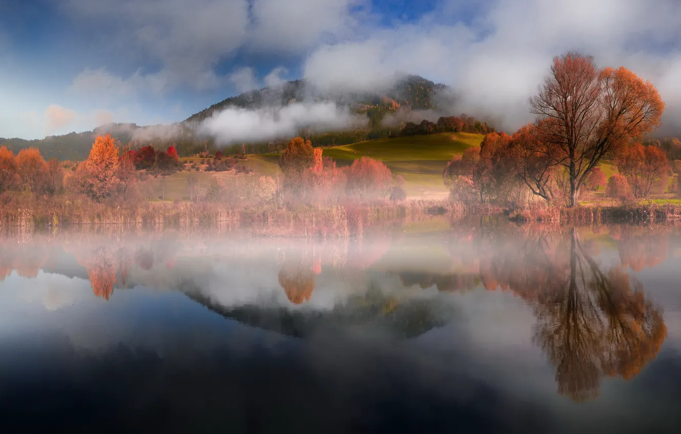 Фото обои осень, лес, небо, облака, деревья, горы, природа, туман
