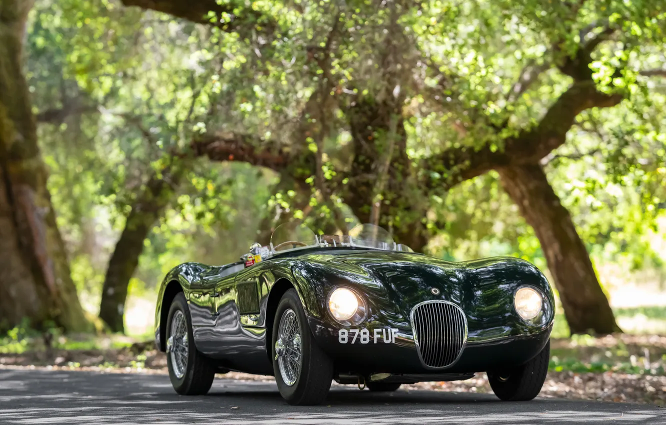 Фото обои Jaguar, ретро автомобили, гоночный автомобиль, racing car, sports car, спортивный автомобиль, единственный экземпляр, 1952