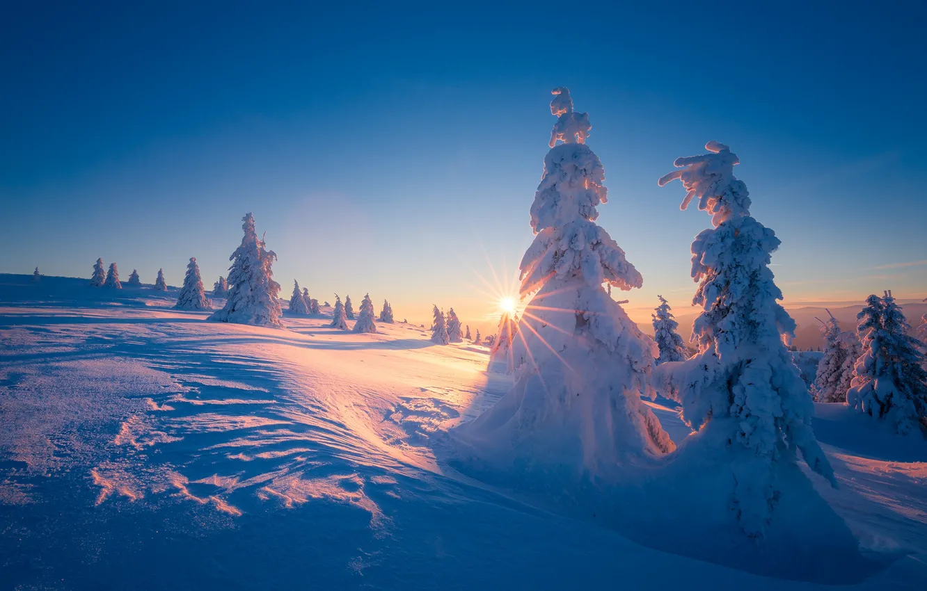 Фото обои зима, солнце, лучи, снег, деревья, пейзаж, закат, горы