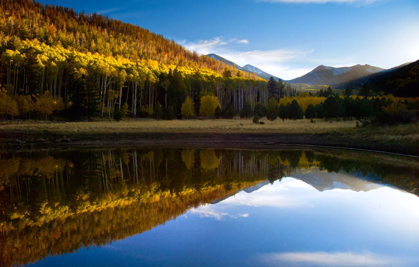 Фото обои осень, лес, озеро, отражение, гора
