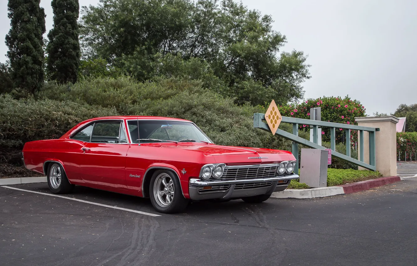 Фото обои Chevrolet, 1965, Impala