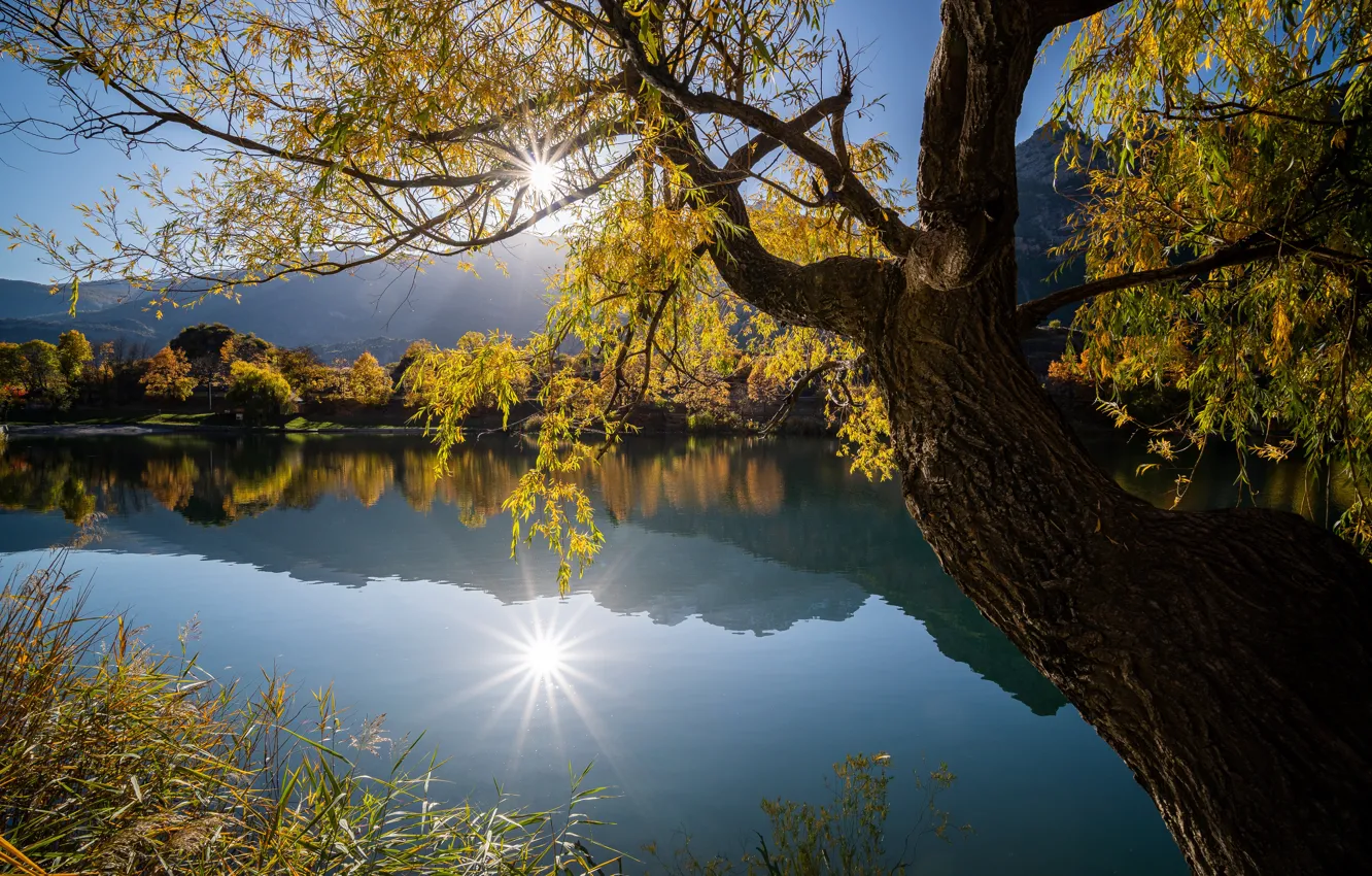 Фото обои осень, озеро, отражение, дерево, Франция, France, Ла-Рош-де-Рам, La Roche-de-Rame