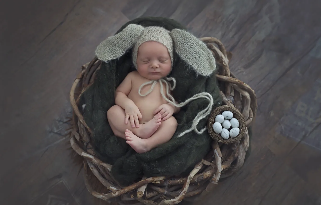 Фото обои ветки, шапка, сон, яйца, мальчик, уши, младенец