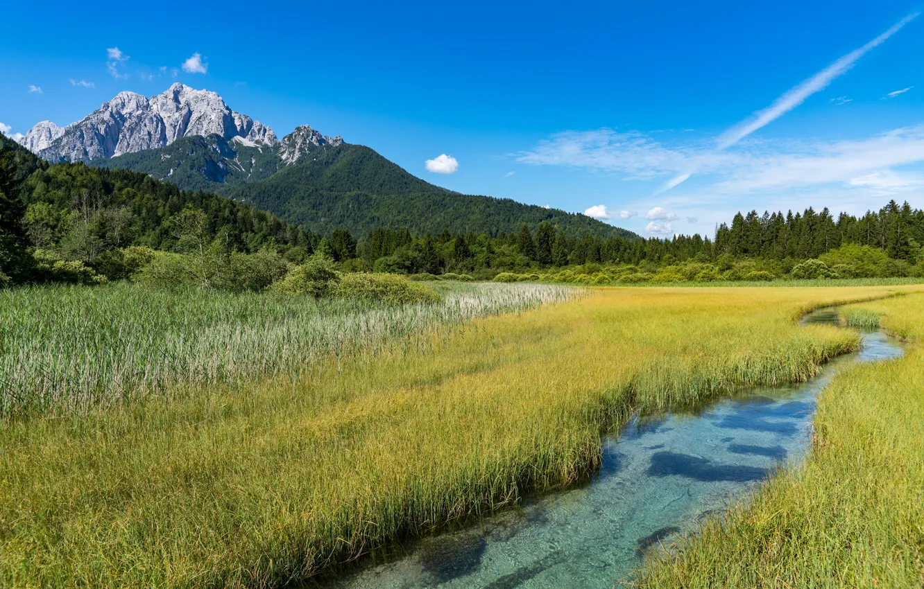 Фото обои Словения, Kranjska Gora, Zelenci