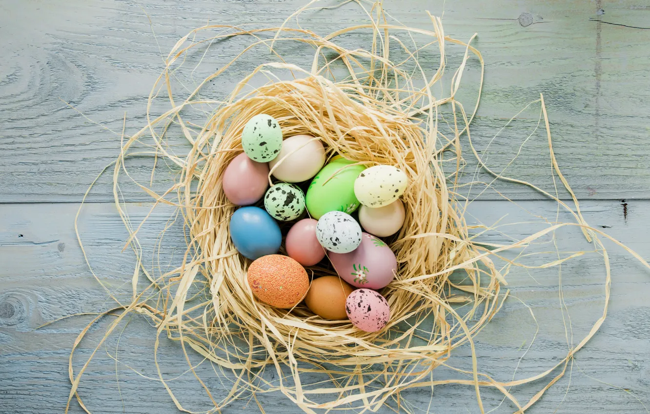 Фото обои весна, Пасха, гнездо, wood, spring, Easter, eggs, decoration