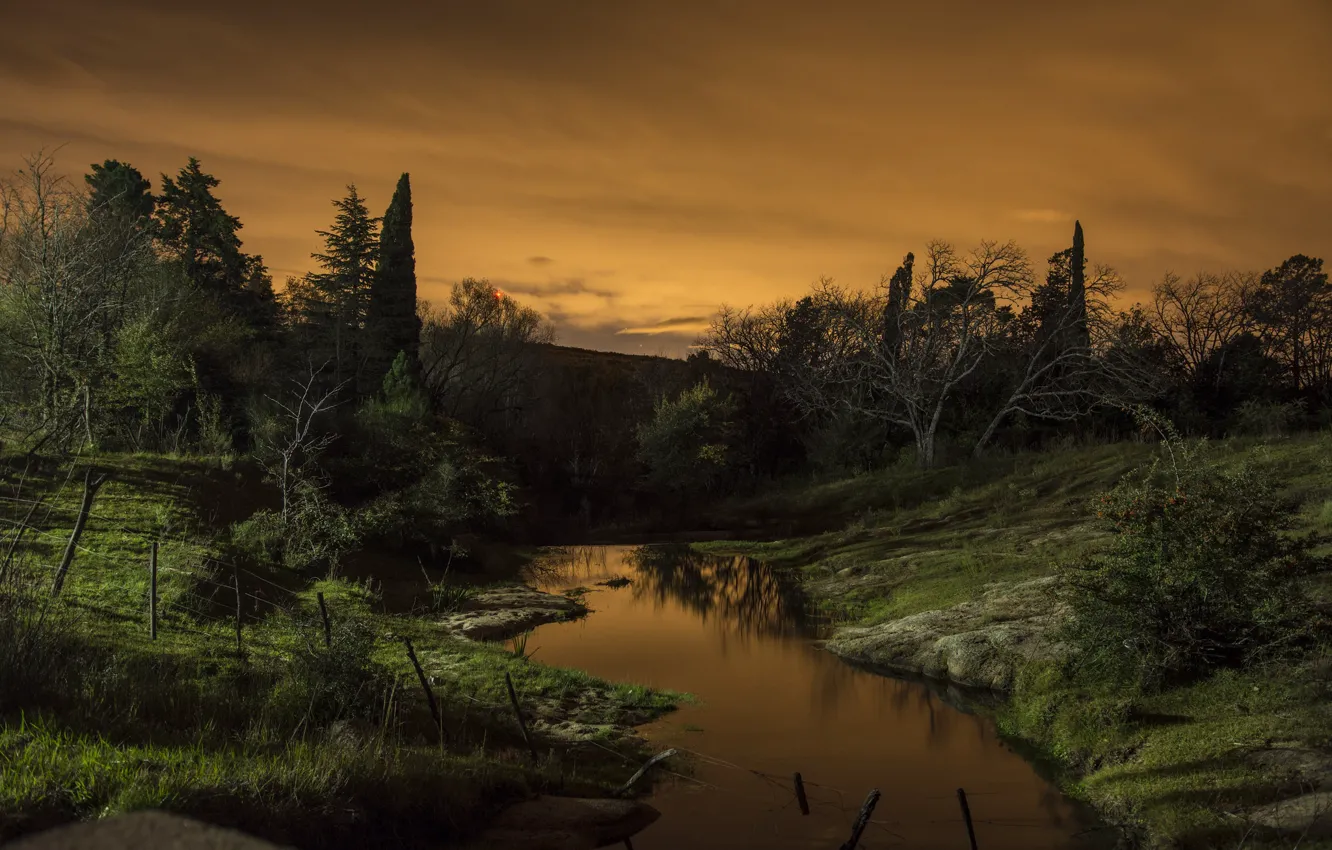 Фото обои деревья, закат, ручей, вечер