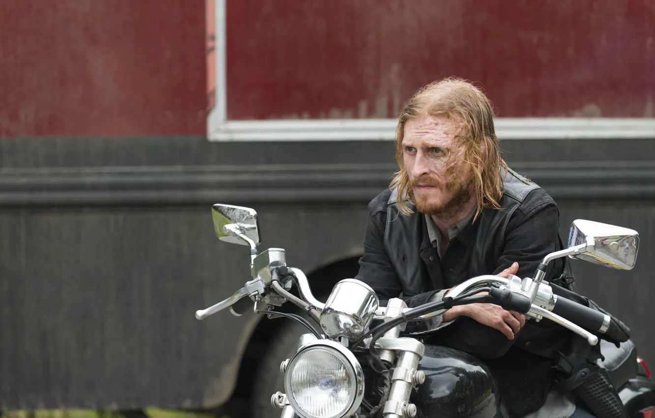 Фото обои The Walking Dead, Dwight, Season 7, Austin Amelio