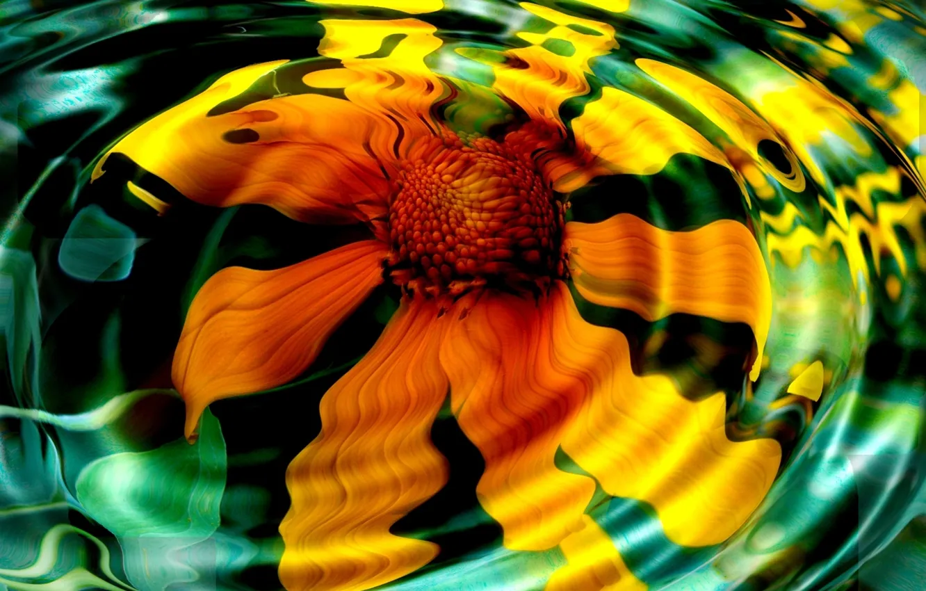 Фото обои лепестки, желтый цветок, круги на воде