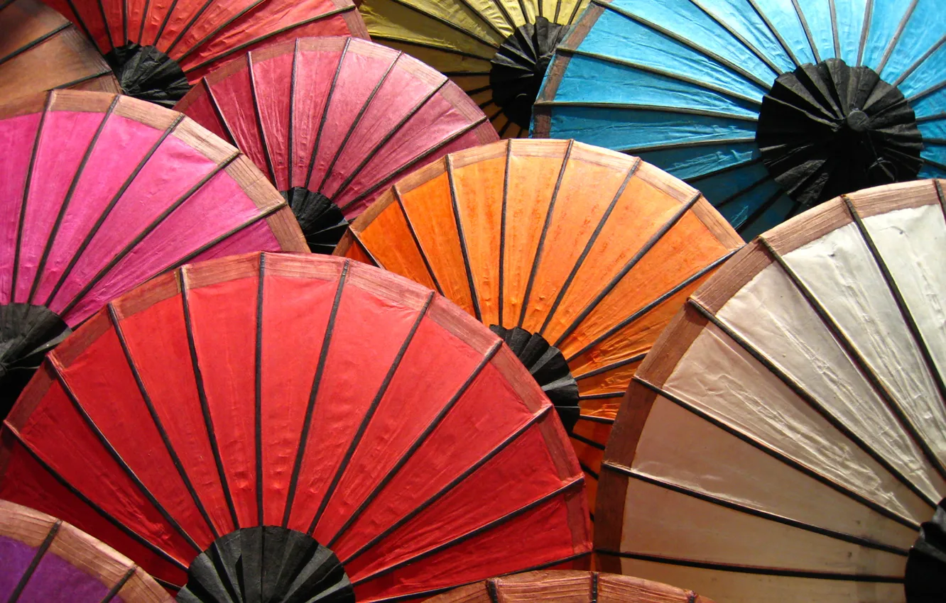 Фото обои цвета, краски, радуга, зонты, палитра