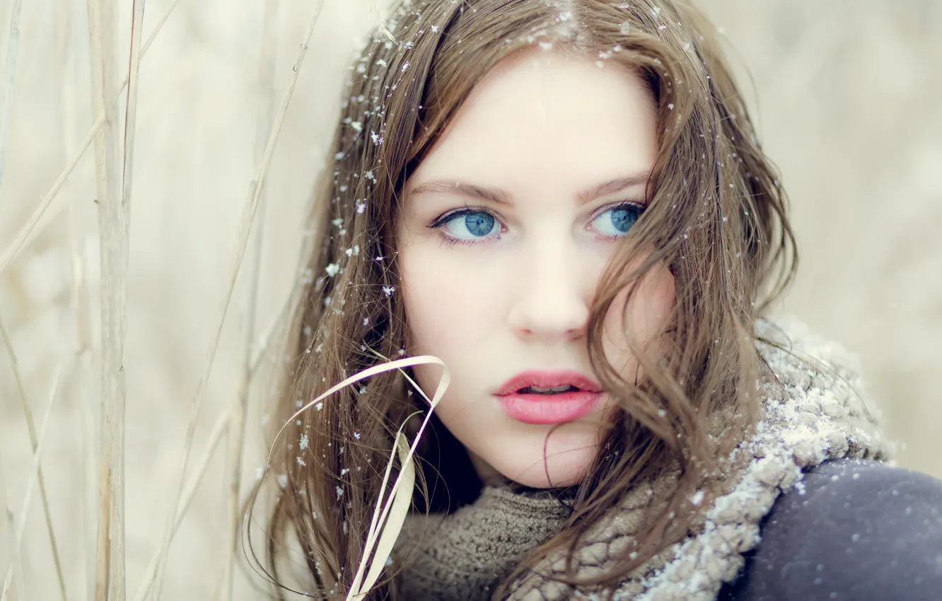 Фото обои взгляд, снег, модель, Ana-Carolina