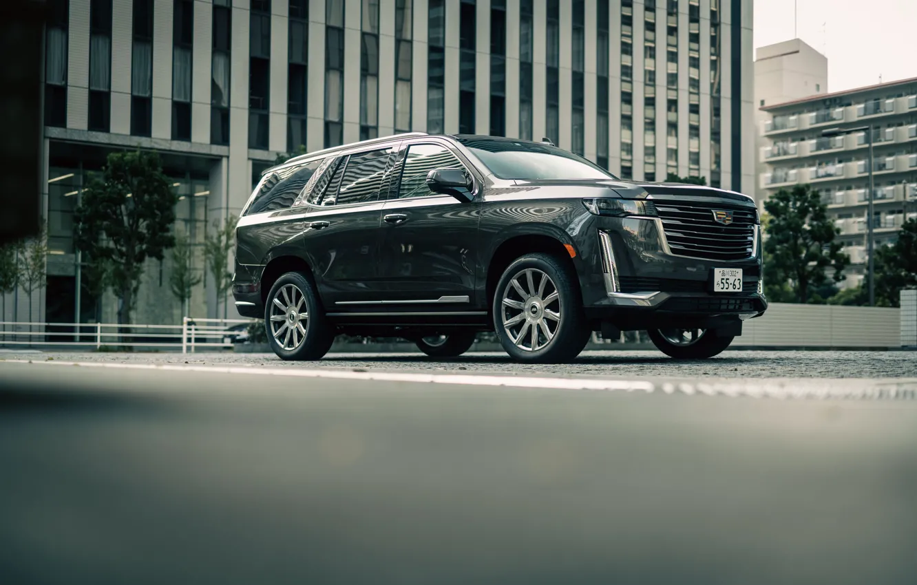 Фото обои Cadillac, Джип, Кадиллак, Escalade, Front, Внедорожник, Luxury, Вид спереди