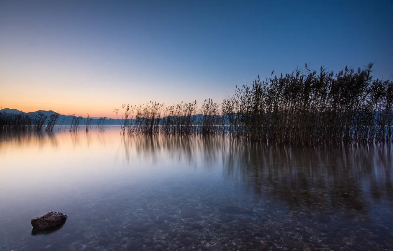 Фото обои озеро, рассвет, утро, Греция, камыш, Greece, Lake Trichonida, Озеро Трихонида