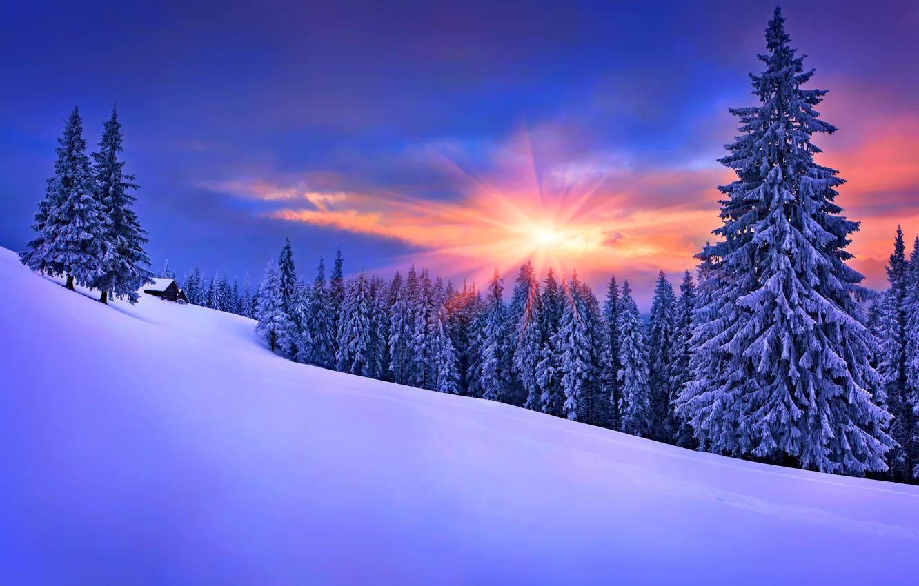 Фото обои зима, небо, снег, пейзаж, природа, дом, house, white
