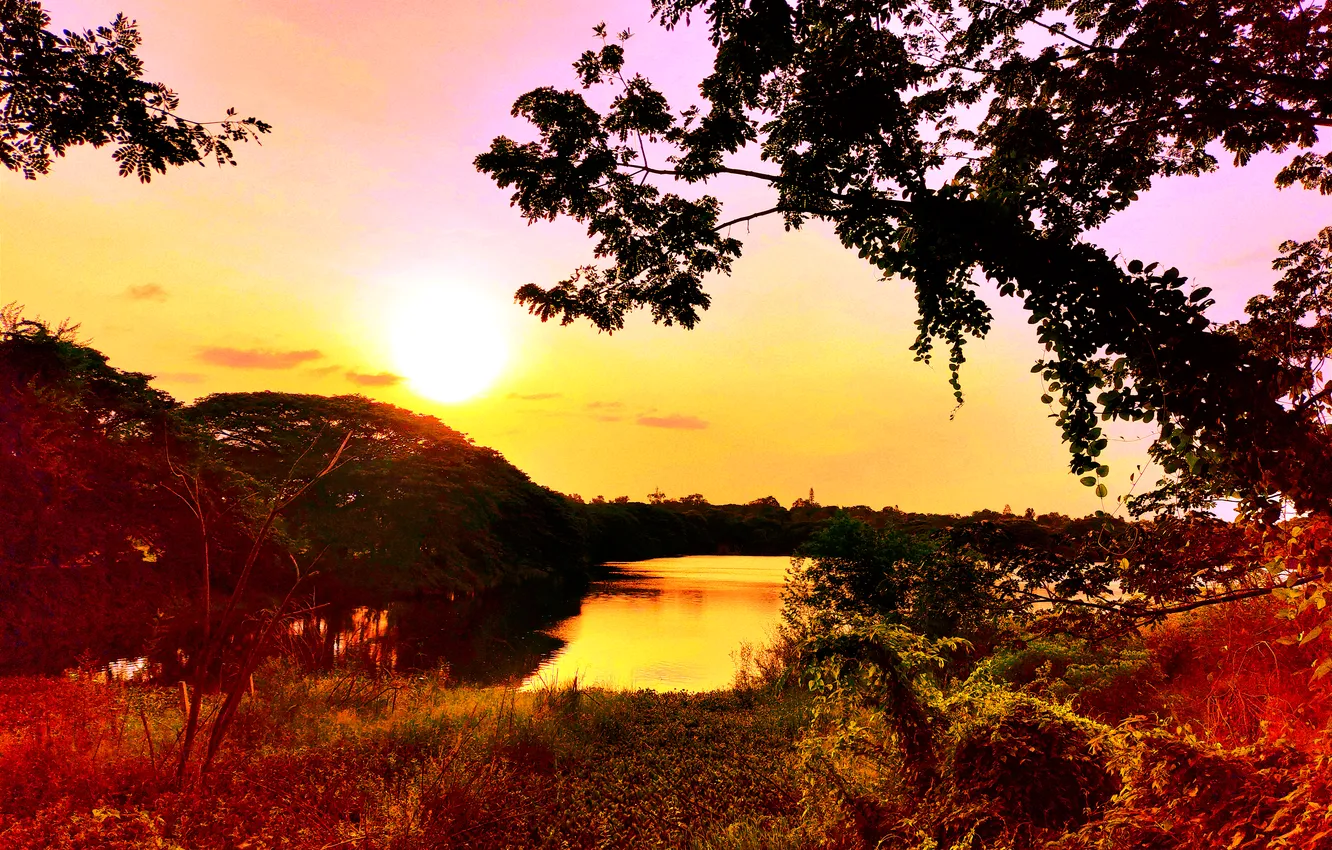Фото обои Sky, Sun, Water, Sunrise, Dawn, Morning, Lake, Trees