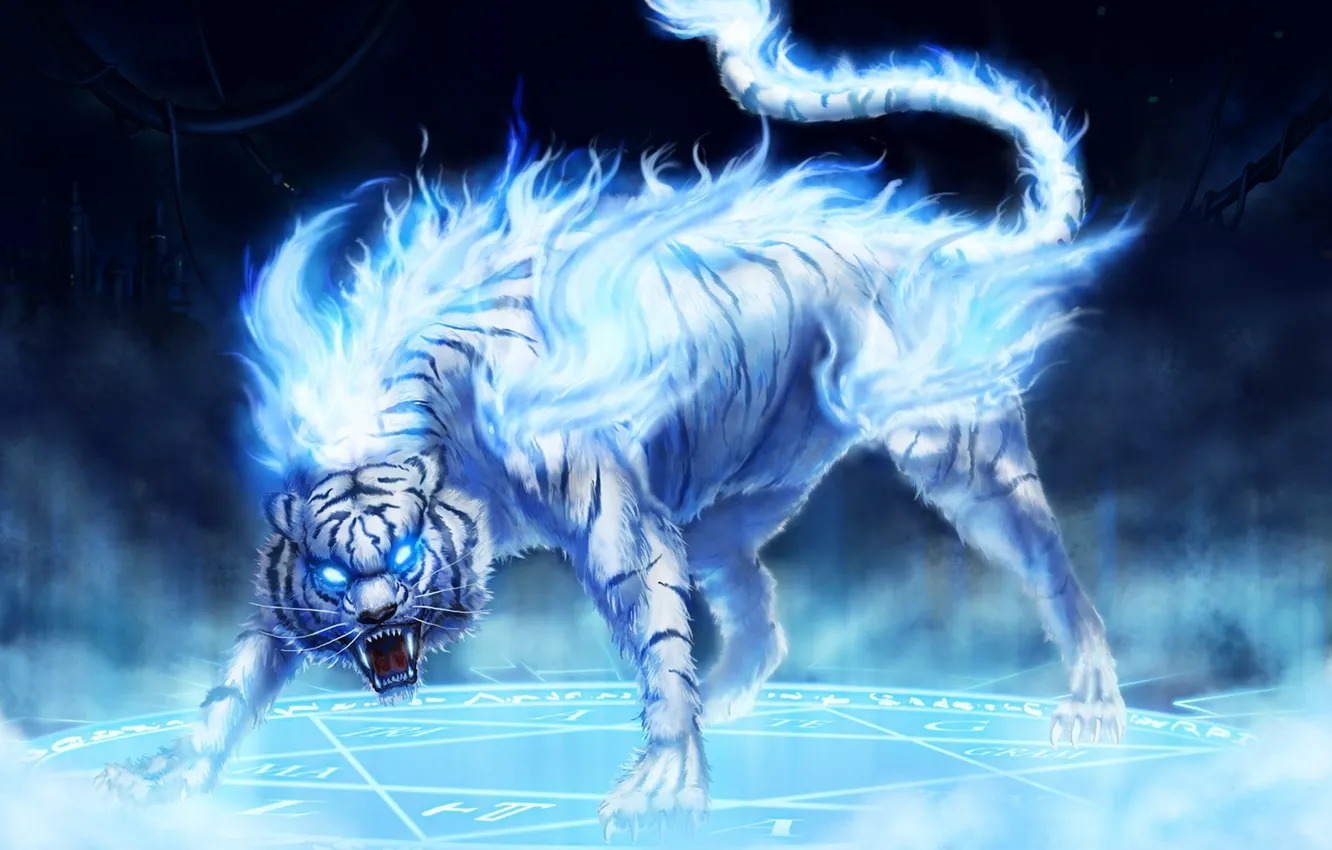 Фото обои синий, тигр, огонь