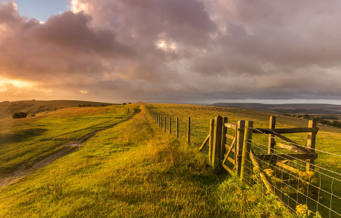 Фото обои поле, трава, пейзаж, природа, холмы, забор, овцы, Англия