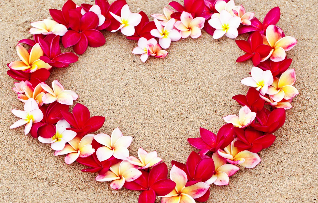 Фото обои песок, цветы, крупный план, дизайн, сердце, День святого Валентина, боке, плюмерия