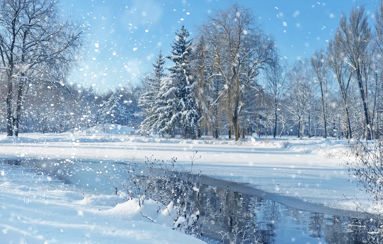 Фото обои зима, небо, снег, деревья, пейзаж, природа, озеро