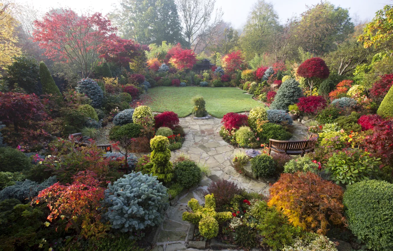 Фото обои осень, деревья, цветы, дизайн, туман, газон, Англия, сад
