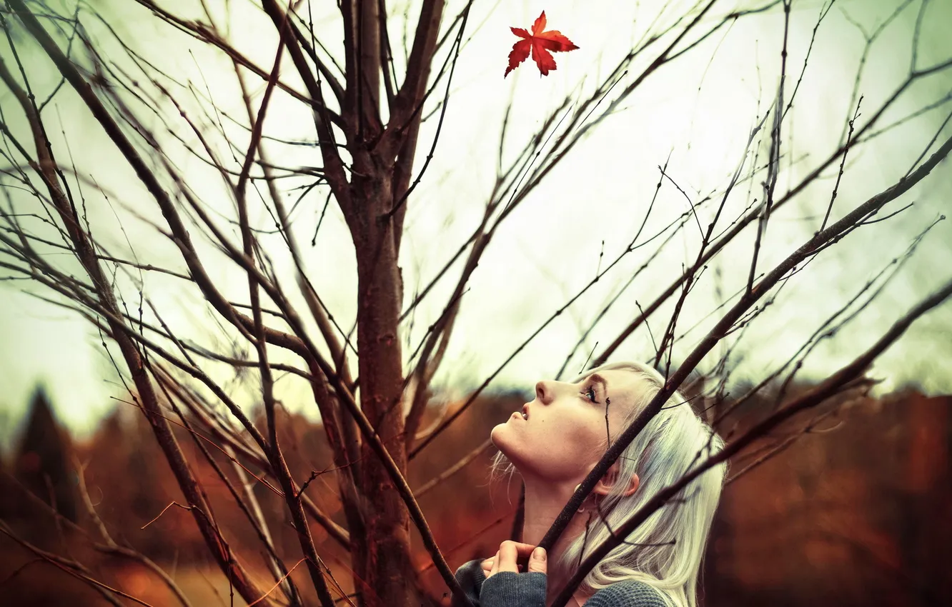 Фото обои осень, девушка, лист
