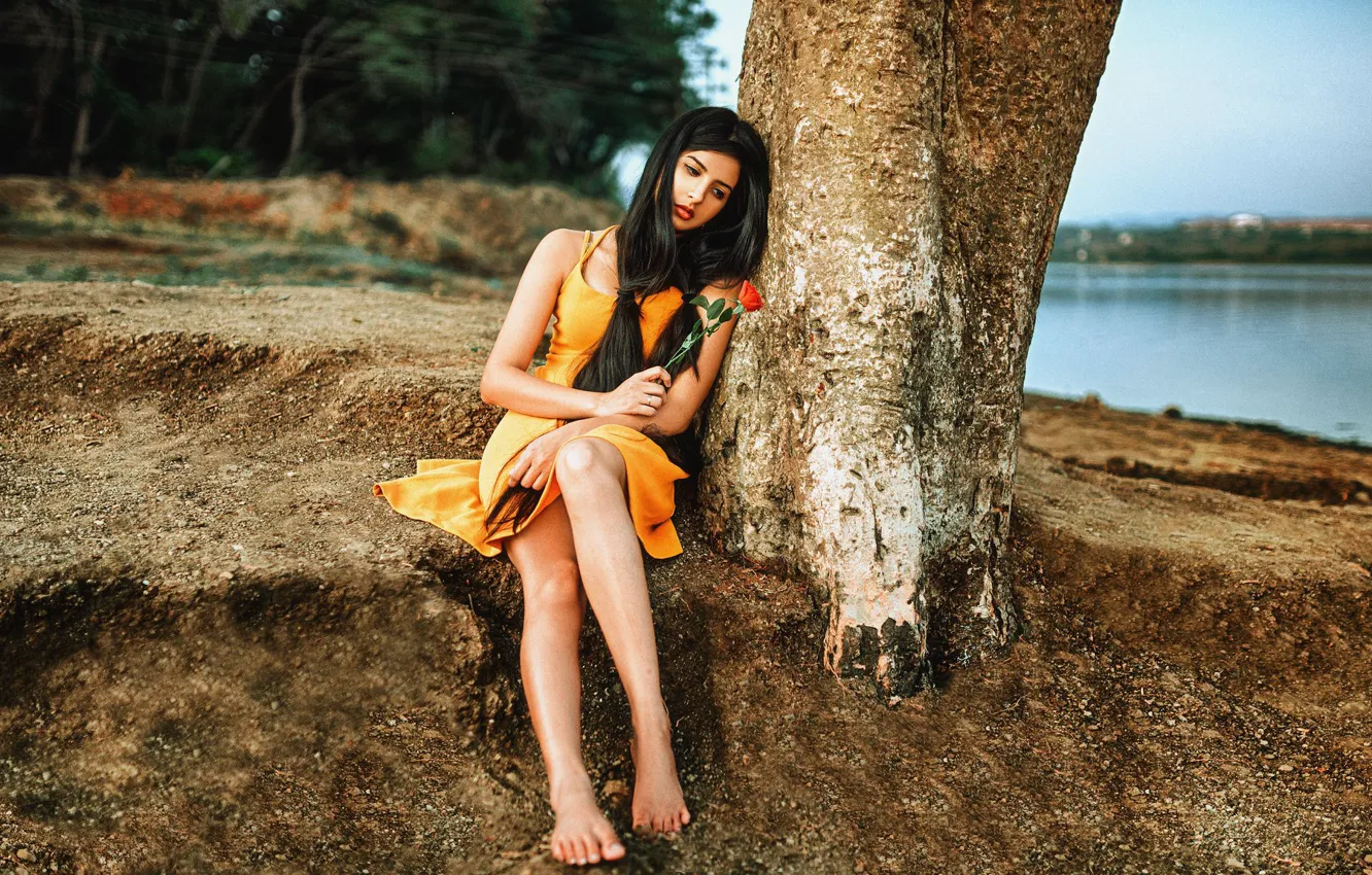 Фото обои девушка, деревья, розы