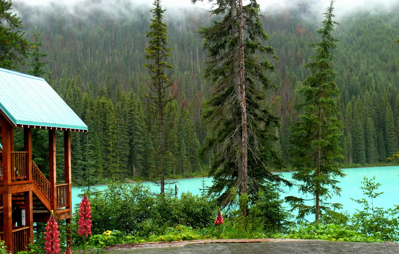 Фото обои лес, деревья, озеро, дом, берег, Канада, Yoho National Park