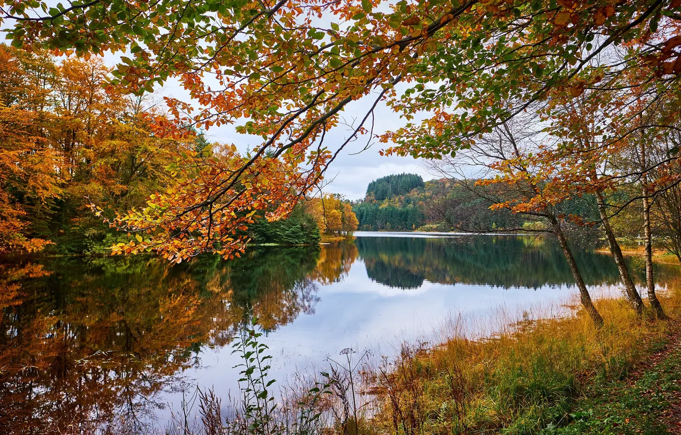 Фото обои autumn, Norway, Eivindsvatnet