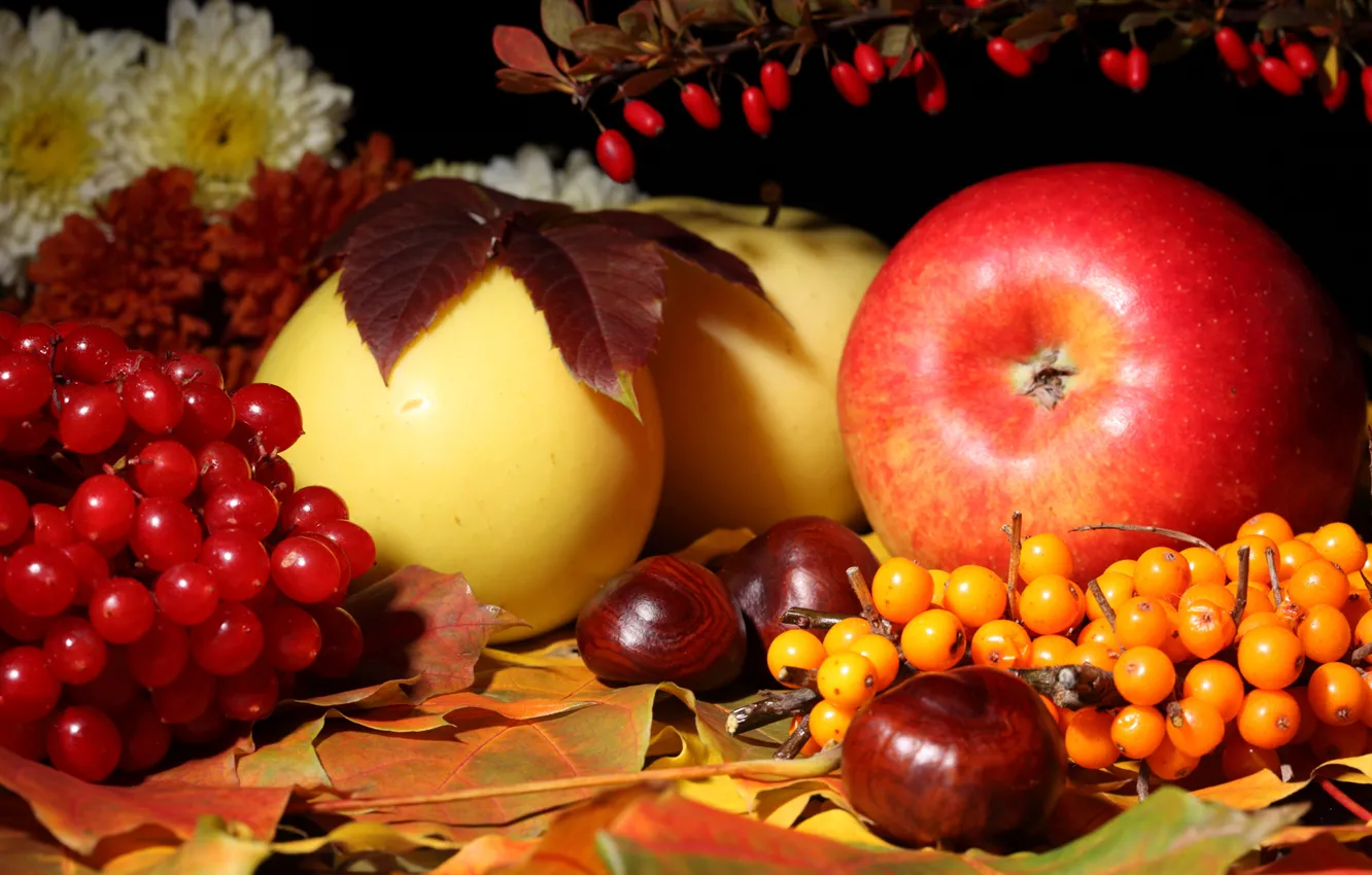 Фото обои осень, листья, цветы, яблоки, натюрморт, каштан, калина, облепиха