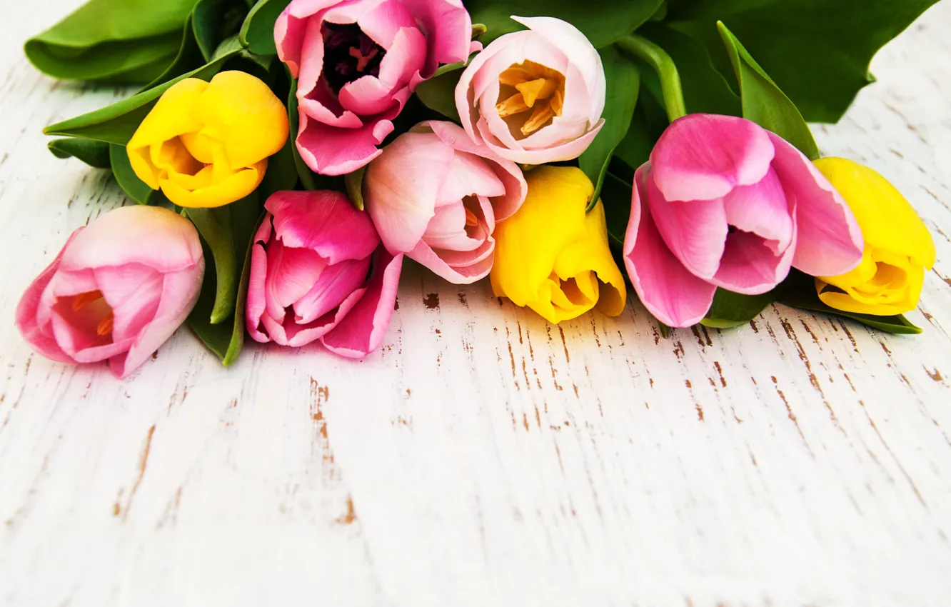 Фото обои букет, желтые, тюльпаны, розовые, Olena Rudo