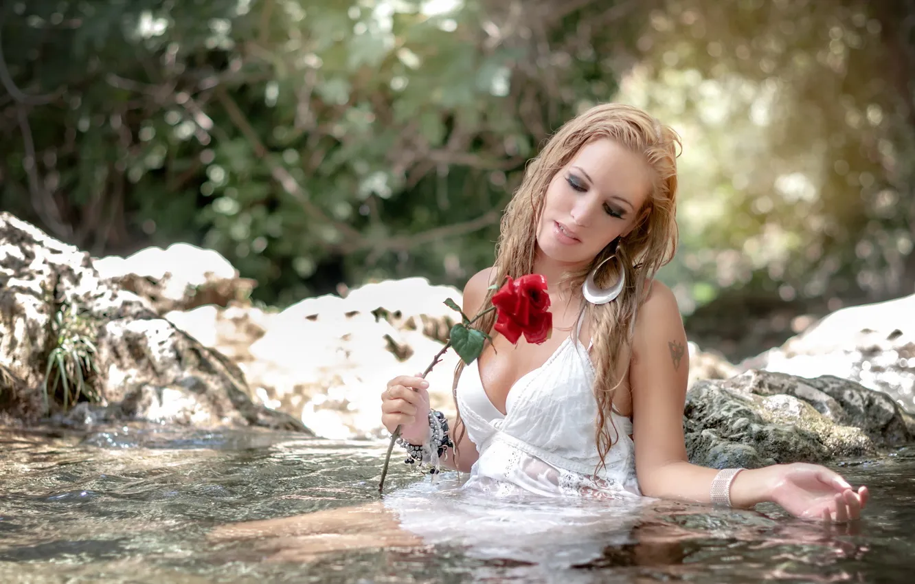 Фото обои девушка, река, роза