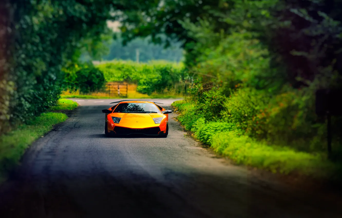 Фото обои дорога, лето, Lamborghini, Murcielago