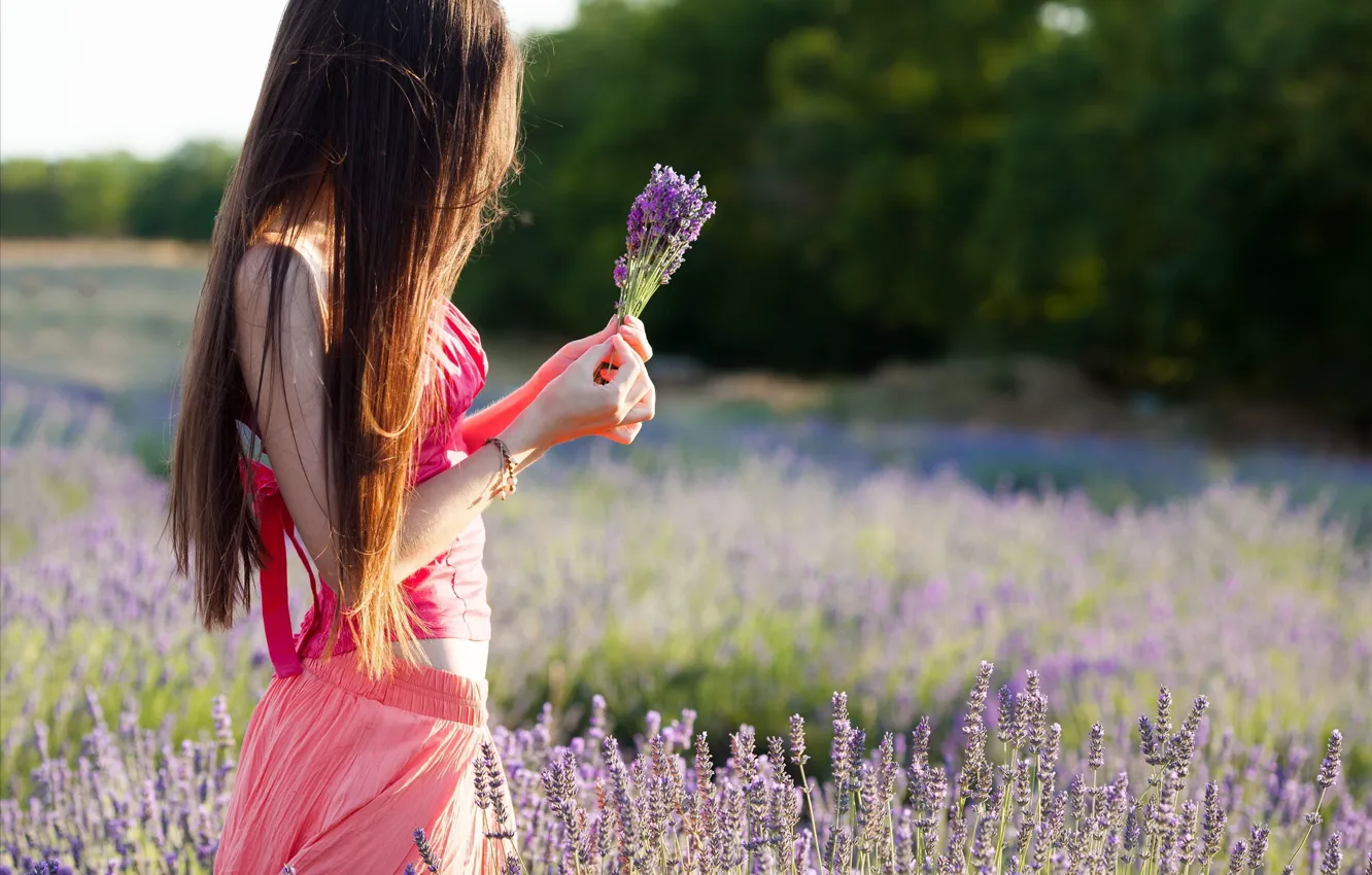 Фото обои поле, лето, девушка, цветы
