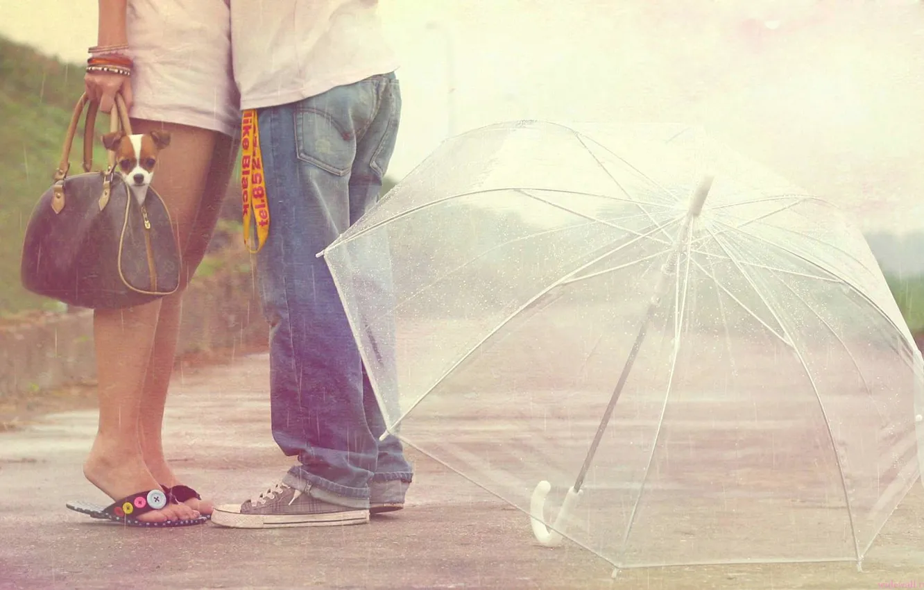 Фото обои зонтик, парень девушка, и пёсик)