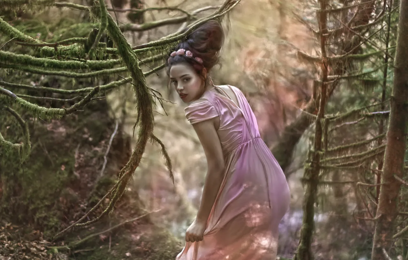 Фото обои лес, девушка, фантазия, арт, Secret, Agnieszka Lorek, Yazzmin
