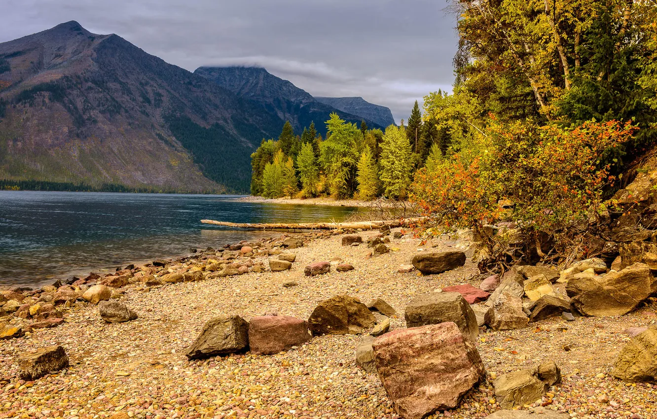 Фото обои осень, деревья, горы, озеро, камни, берег, Glacier National Park, Montana