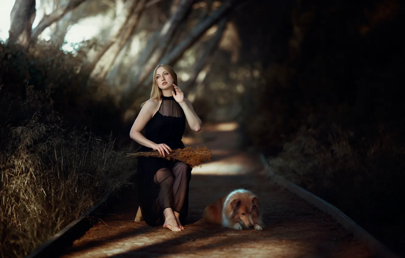 Фото обои девушка, природа, поза, собака, платье, босая, Otilia Saramet