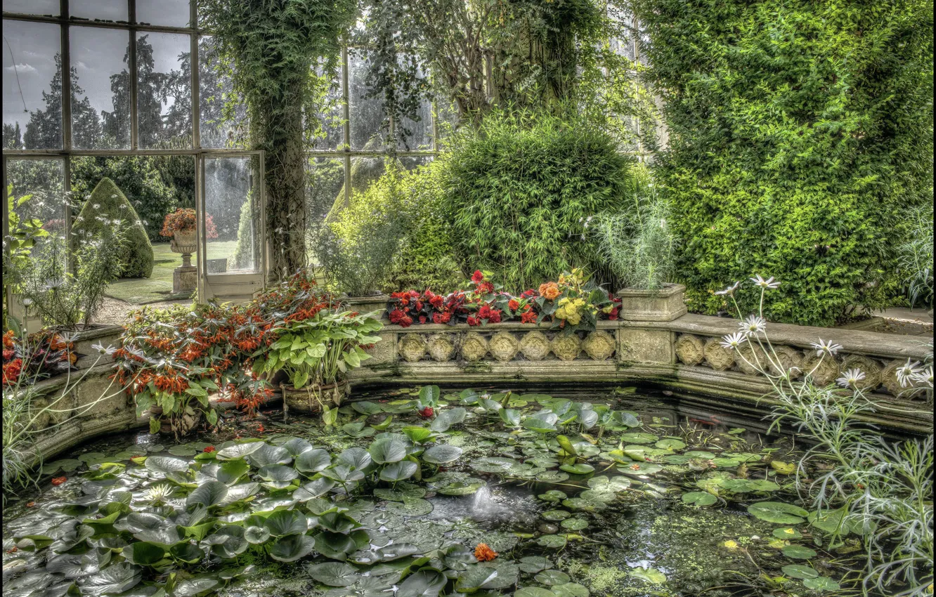 Фото обои вода, цветы, Англия, фонтан, архитектура, оранжерея, Замок Эшби