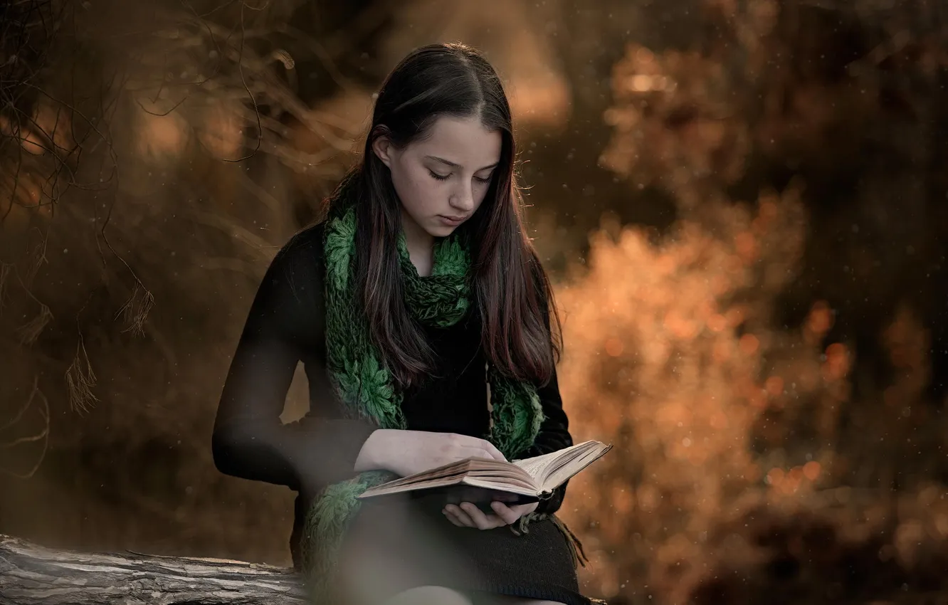 Фото обои лес, девушка, книга, боке