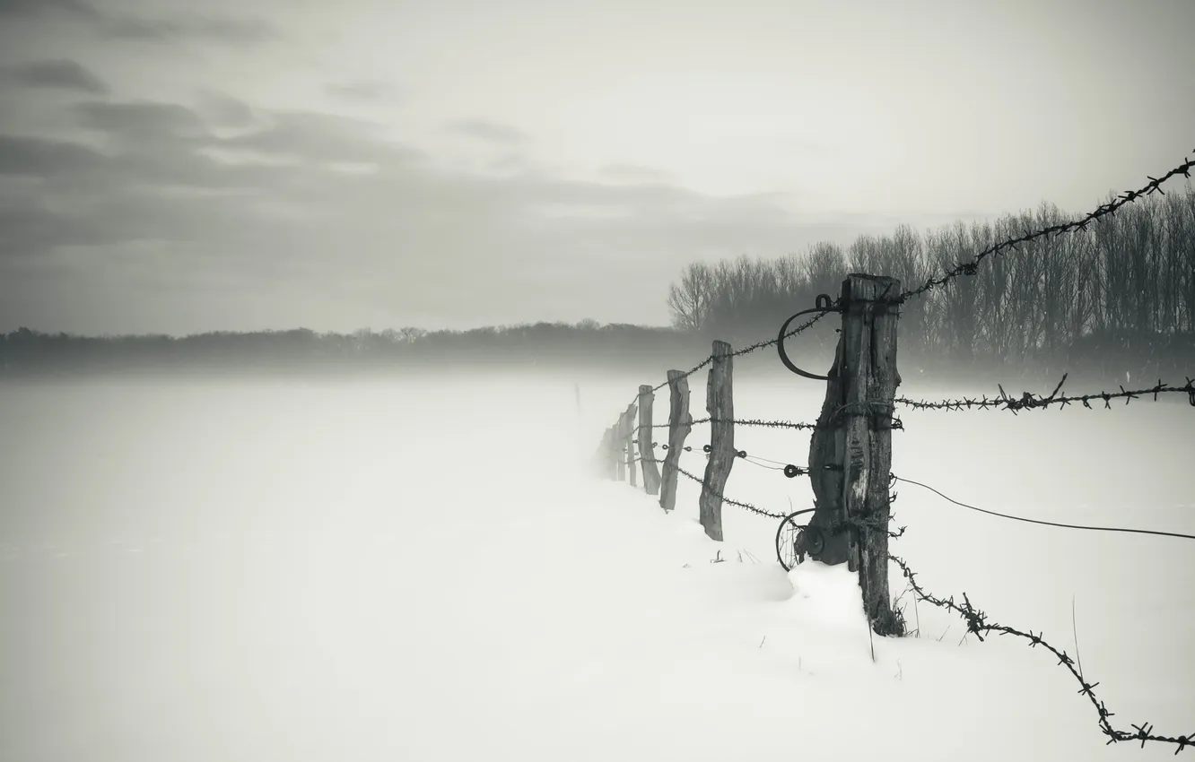 Фото обои зима, поле, туман, забор