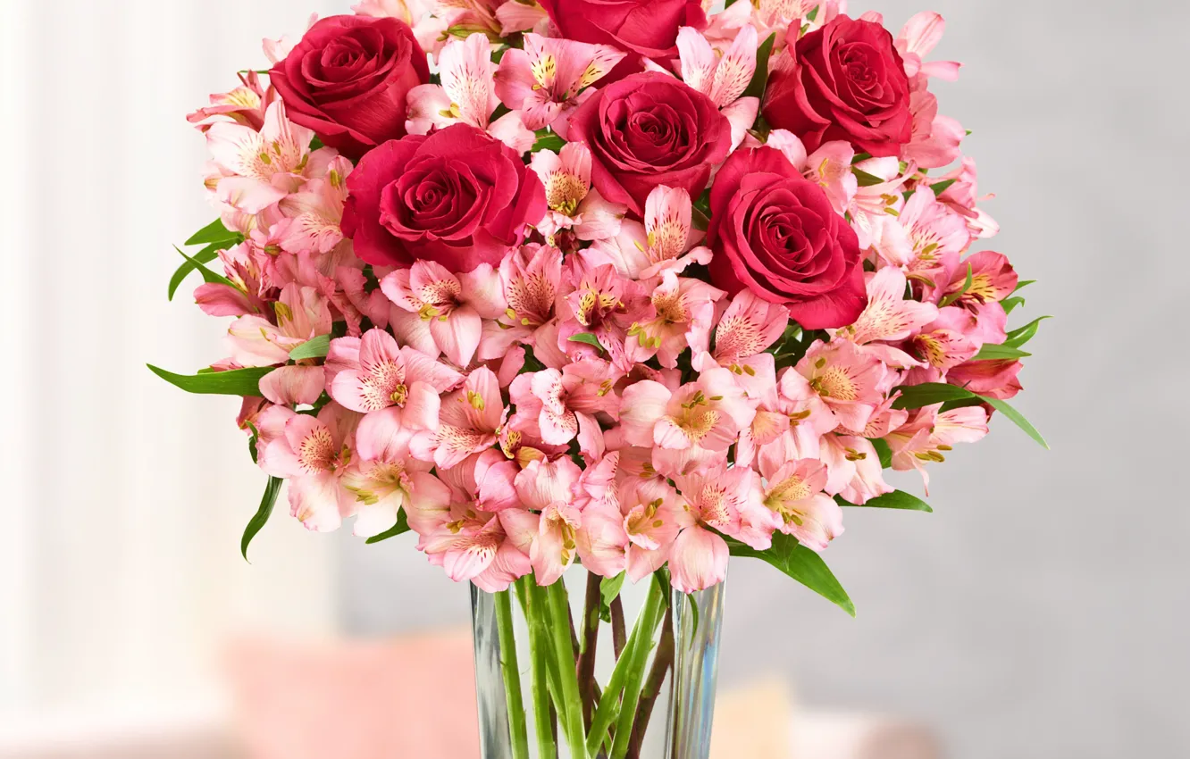Фото обои розы, красные, roses, альстромерия, bouquets