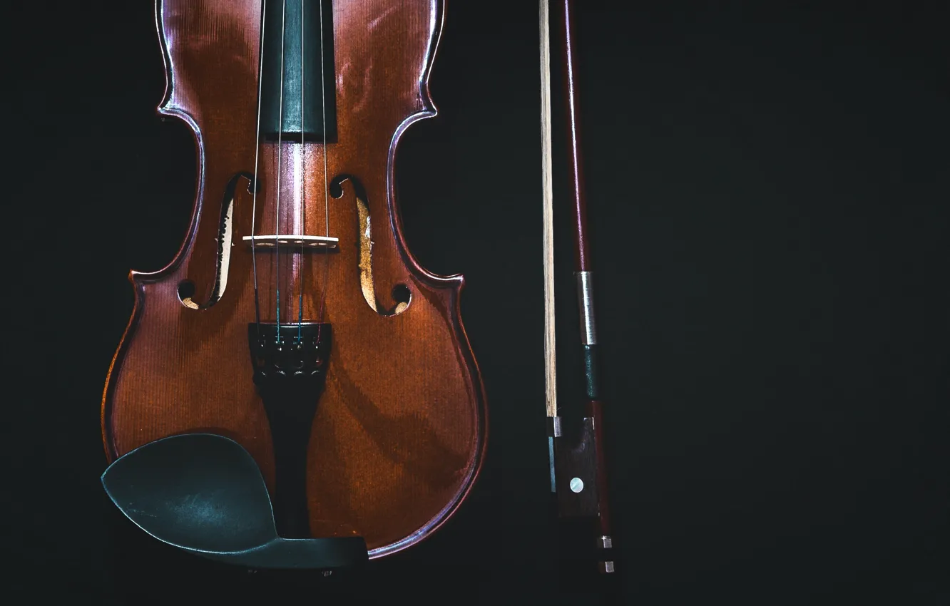 Фото обои Music, Violin, Instrument, Baher Khairy