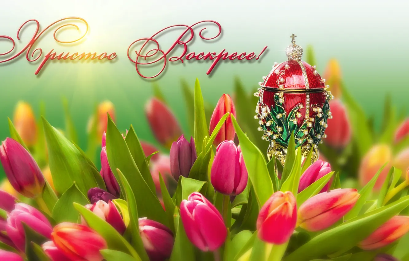 Фото обои цветы, праздник, яйцо, Пасха, тюльпаны