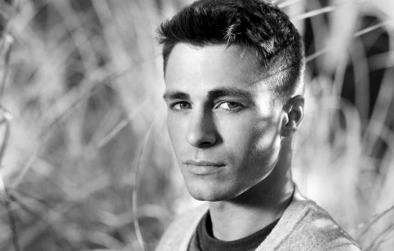 Фото обои портрет, актер, Colton Haynes