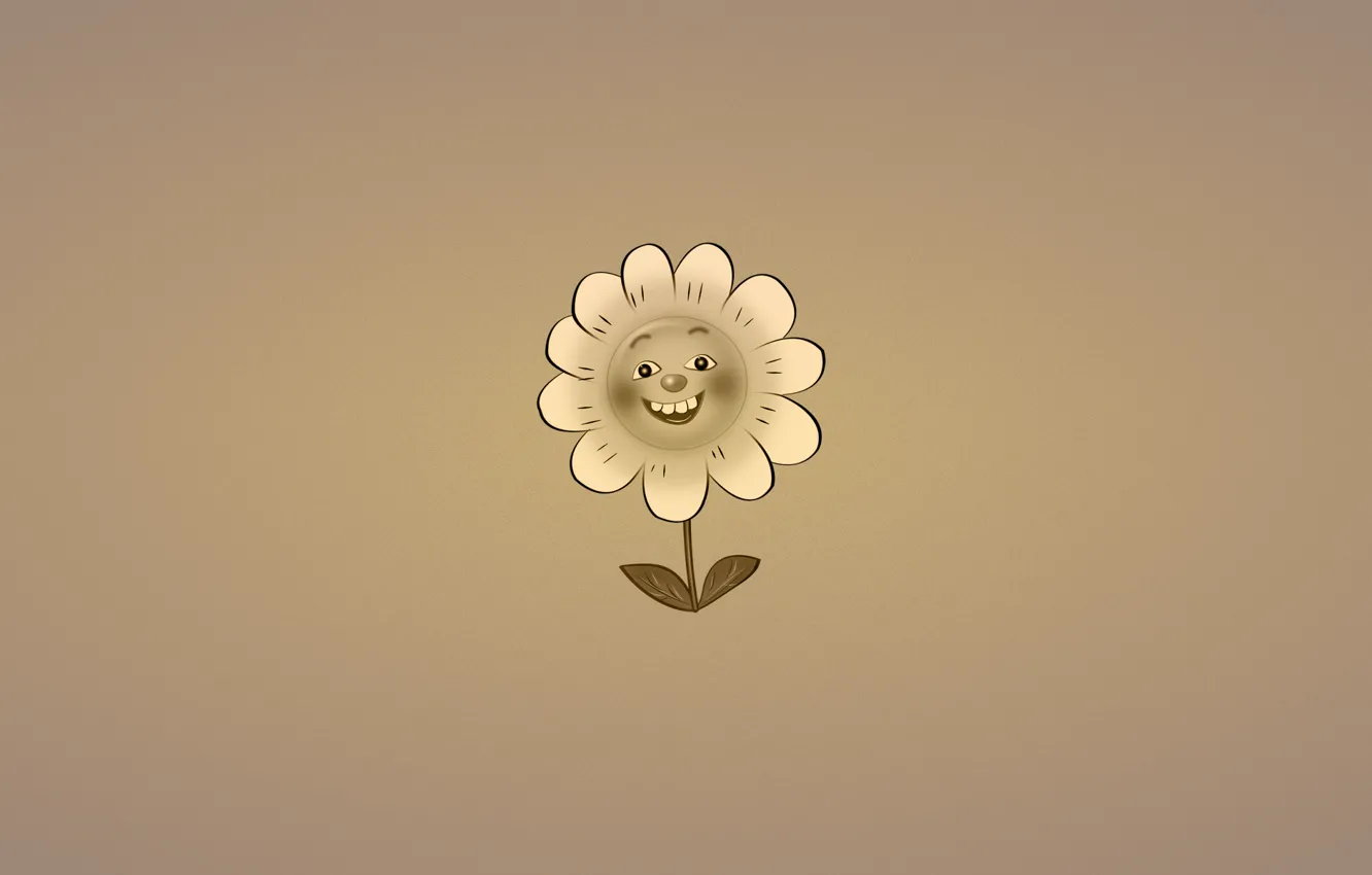 Фото обои цветок, улыбка, растение, минимализм, ромашка, листочки, темноватый фон