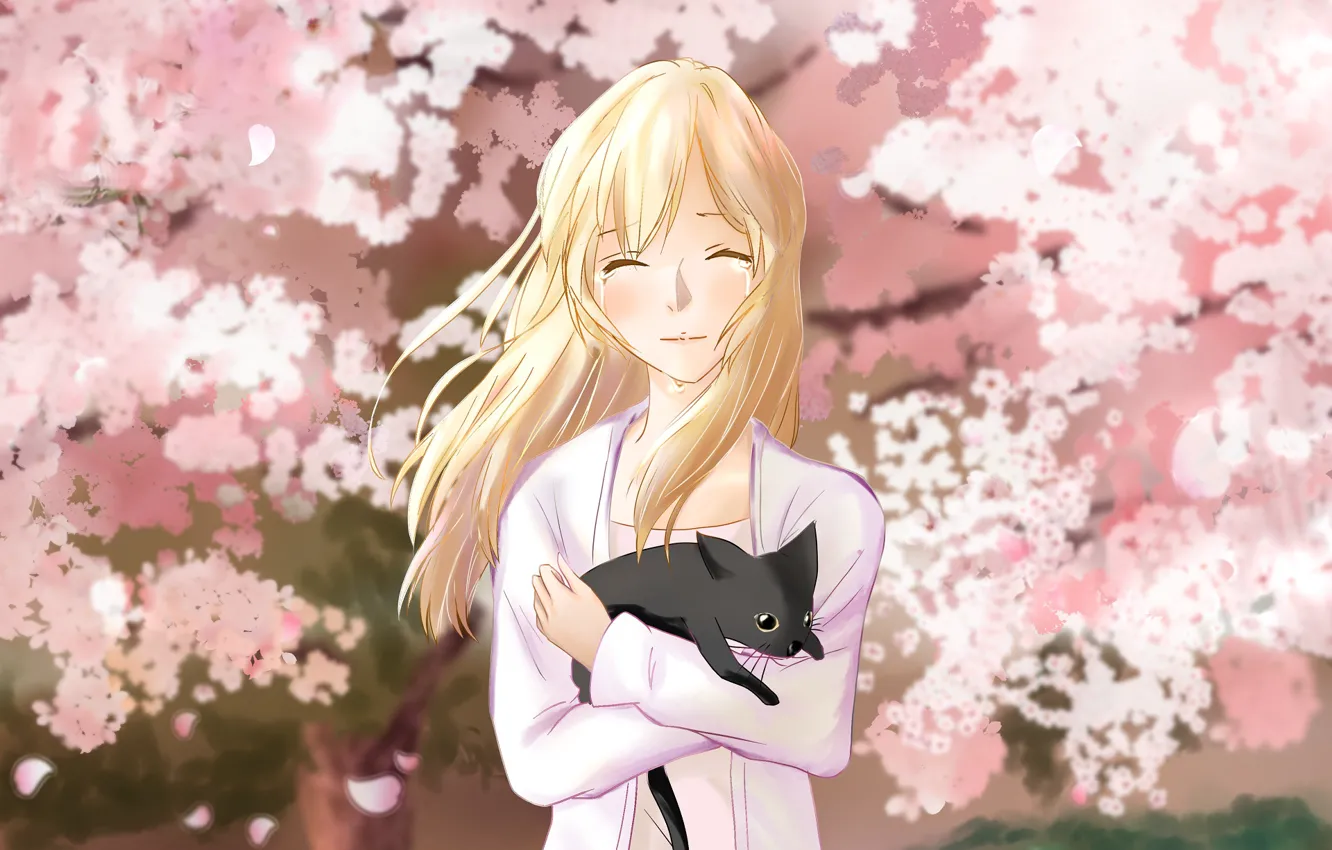 Фото обои кот, девушка, весна, сад, сакура, Shigatsu wa Kimi no Uso, Твоя апрельская ложь